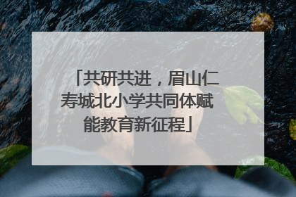 共研共进，眉山仁寿城北小学共同体赋能教育新征程