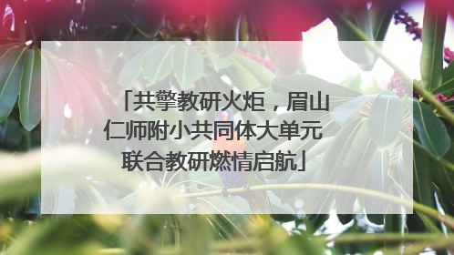 共擎教研火炬，眉山仁师附小共同体大单元联合教研燃情启航