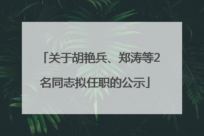 关于胡艳兵、郑涛等2名同志拟任职的公示