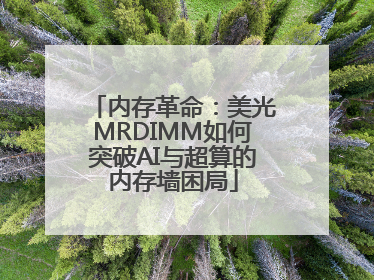 内存革命：美光MRDIMM如何突破AI与超算的内存墙困局