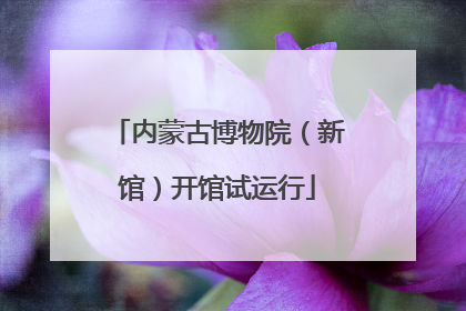 内蒙古博物院（新馆）开馆试运行