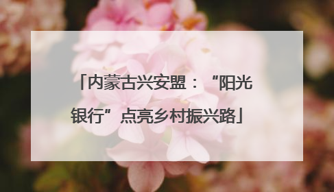 内蒙古兴安盟：“阳光银行”点亮乡村振兴路