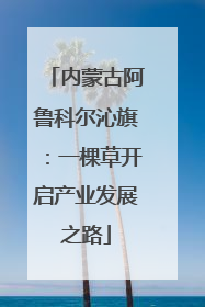 内蒙古阿鲁科尔沁旗：一棵草开启产业发展之路