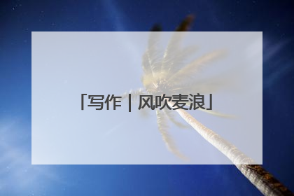 写作｜风吹麦浪