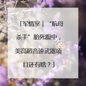 军情室｜“航母杀手”胎死腹中，美高超音速武器项目还有啥？
