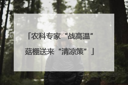 农科专家“战高温” 菇棚送来“清凉策”