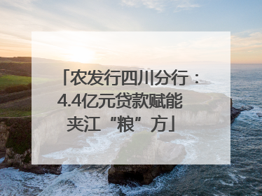 农发行四川分行：4.4亿元贷款赋能夹江“粮”方