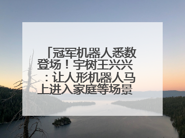 冠军机器人悉数登场！宇树王兴兴：让人形机器人马上进入家庭等场景并不现实