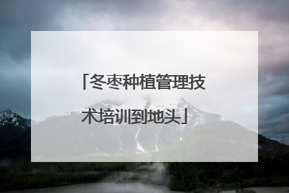 冬枣种植管理技术培训到地头