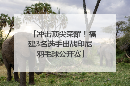 冲击顶尖荣耀！福建3名选手出战印尼羽毛球公开赛