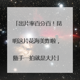 出片率百分百！昆明这片花海美炸啦，随手一拍就是大片