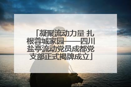 凝聚流动力量 扎根蓉城家园——四川盐亭流动党员成都党支部正式揭牌成立