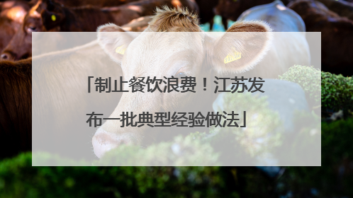 制止餐饮浪费！江苏发布一批典型经验做法