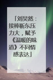 刘昊然：接棒靳东压力大，赋予《温暖的味道》不同情感表达