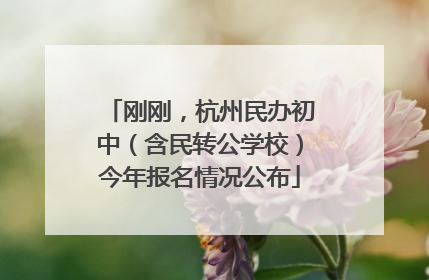刚刚，杭州民办初中（含民转公学校）今年报名情况公布