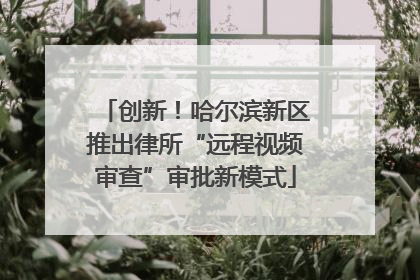 创新！哈尔滨新区推出律所“远程视频审查”审批新模式