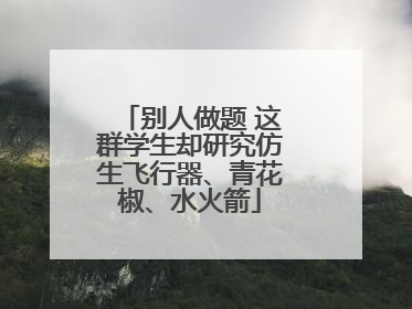 别人做题 这群学生却研究仿生飞行器、青花椒、水火箭