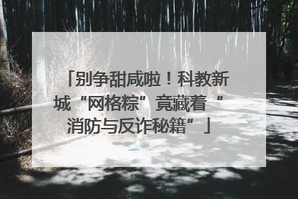 别争甜咸啦！科教新城“网格粽”竟藏着“消防与反诈秘籍”