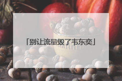 别让流量毁了韦东奕