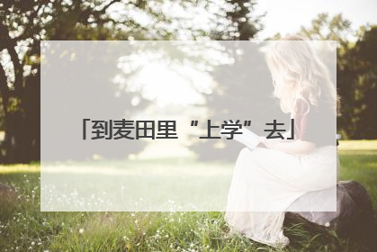 到麦田里“上学”去