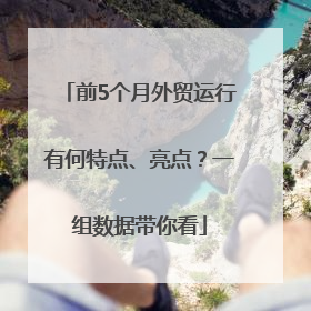 前5个月外贸运行有何特点、亮点？一组数据带你看