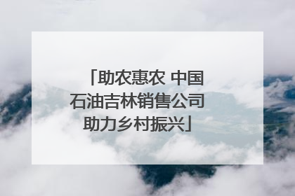 助农惠农 中国石油吉林销售公司助力乡村振兴