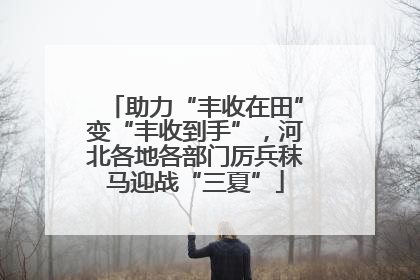 助力“丰收在田”变“丰收到手”，河北各地各部门厉兵秣马迎战“三夏”