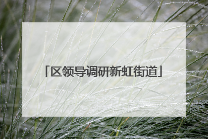 区领导调研新虹街道