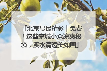 北京号最精彩｜免费！这些京城小众凉爽秘境，溪水清透美如画