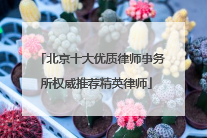北京十大优质律师事务所权威推荐精英律师