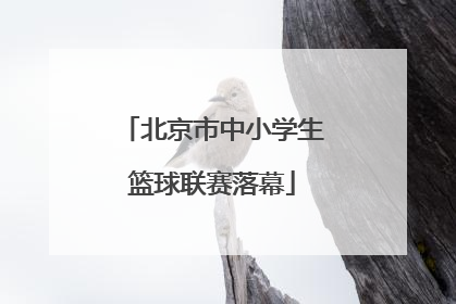 北京市中小学生篮球联赛落幕