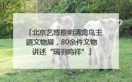 北京艺博推明清禽鸟主题文物展，80余件文物讲述“瑞羽鸣祥”
