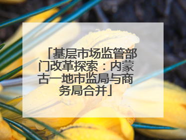 基层市场监管部门改革探索：内蒙古一地市监局与商务局合并