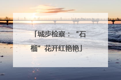 城步检察：“石榴”花开红艳艳