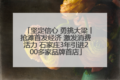 坚定信心 勇挑大梁丨抢滩首发经济 激发消费活力 石家庄3年引进200多家品牌首店