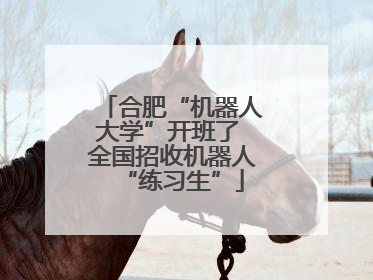合肥“机器人大学”开班了 全国招收机器人“练习生”
