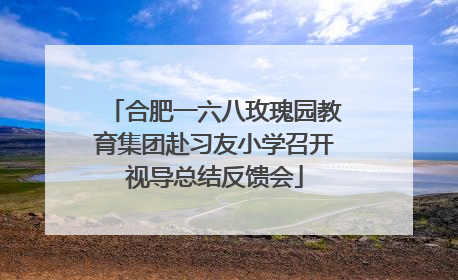 合肥一六八玫瑰园教育集团赴习友小学召开视导总结反馈会