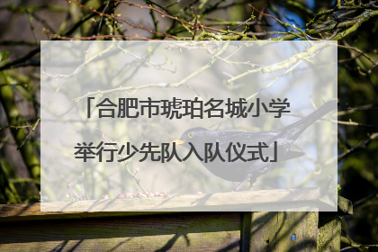 合肥市琥珀名城小学举行少先队入队仪式