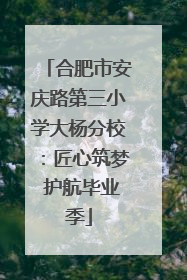 合肥市安庆路第三小学大杨分校：匠心筑梦 护航毕业季