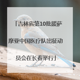 吉林省第10批援萨摩亚中国医疗队出征动员会在长春举行