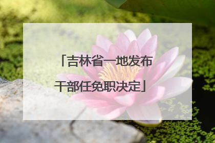 吉林省一地发布干部任免职决定