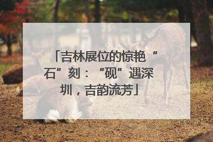 吉林展位的惊艳“石”刻：“砚”遇深圳，吉韵流芳