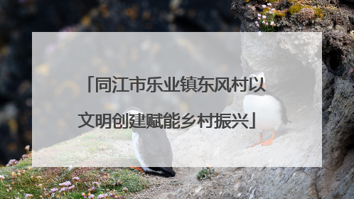 同江市乐业镇东风村以文明创建赋能乡村振兴