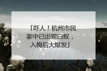 吓人！杭州市民家中已出现白蚁，入梅后大爆发