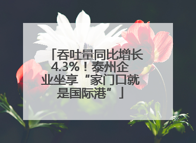 吞吐量同比增长4.3%！泰州企业坐享“家门口就是国际港”