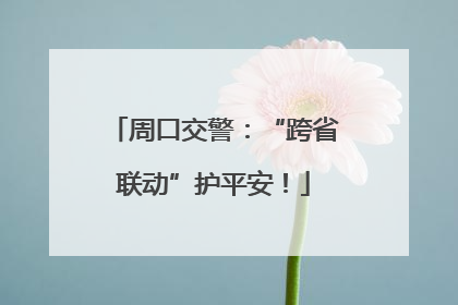 周口交警：“跨省联动”护平安！