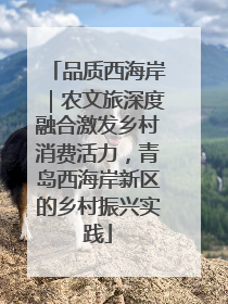 品质西海岸｜农文旅深度融合激发乡村消费活力，青岛西海岸新区的乡村振兴实践