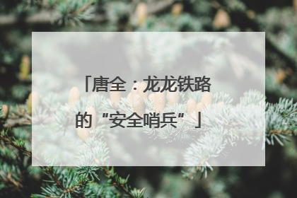 唐全：龙龙铁路的“安全哨兵”