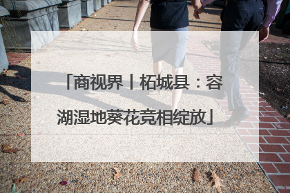 商视界丨柘城县：容湖湿地葵花竞相绽放