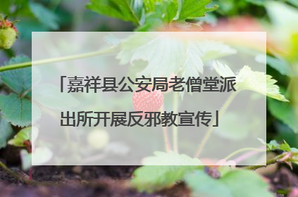 嘉祥县公安局老僧堂派出所开展反邪教宣传